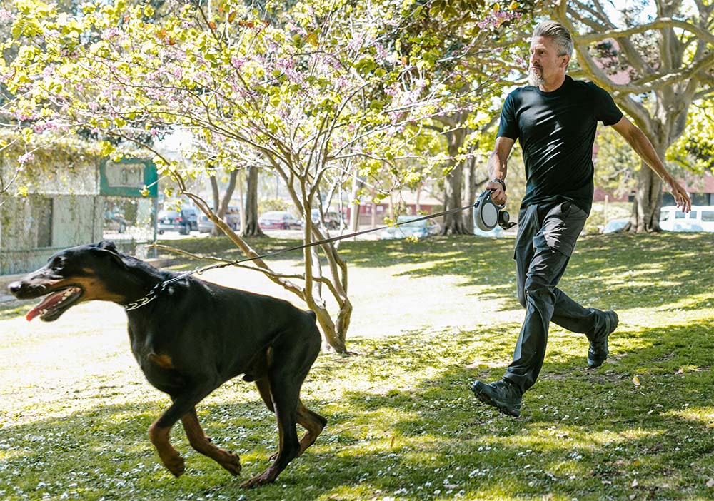 Photo of a dog pulling the leash.